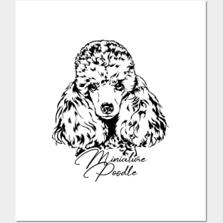 Funny Proud Miniature Poodle dog portrait gift present Posters and Art